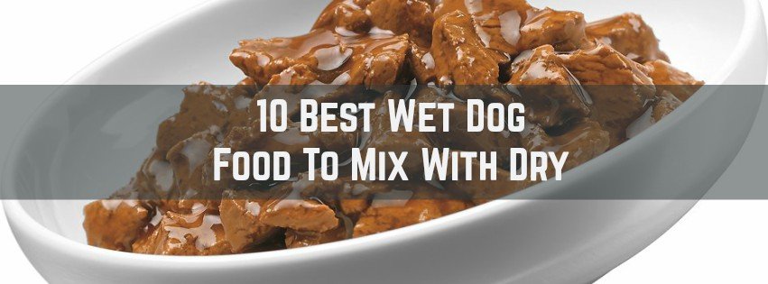 10 Best Wet Dog Food to Mix With Dry