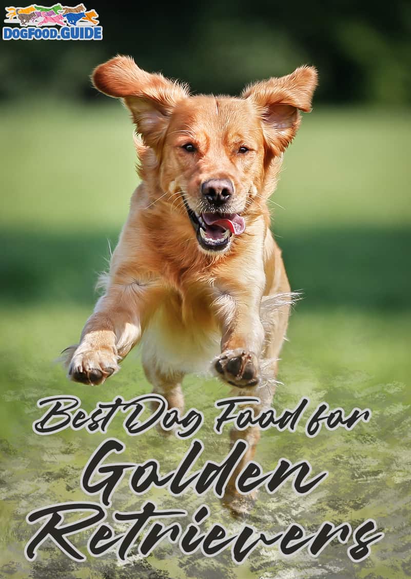 10 Healthiest &  Best Dog Food for Golden Retrievers in 2021