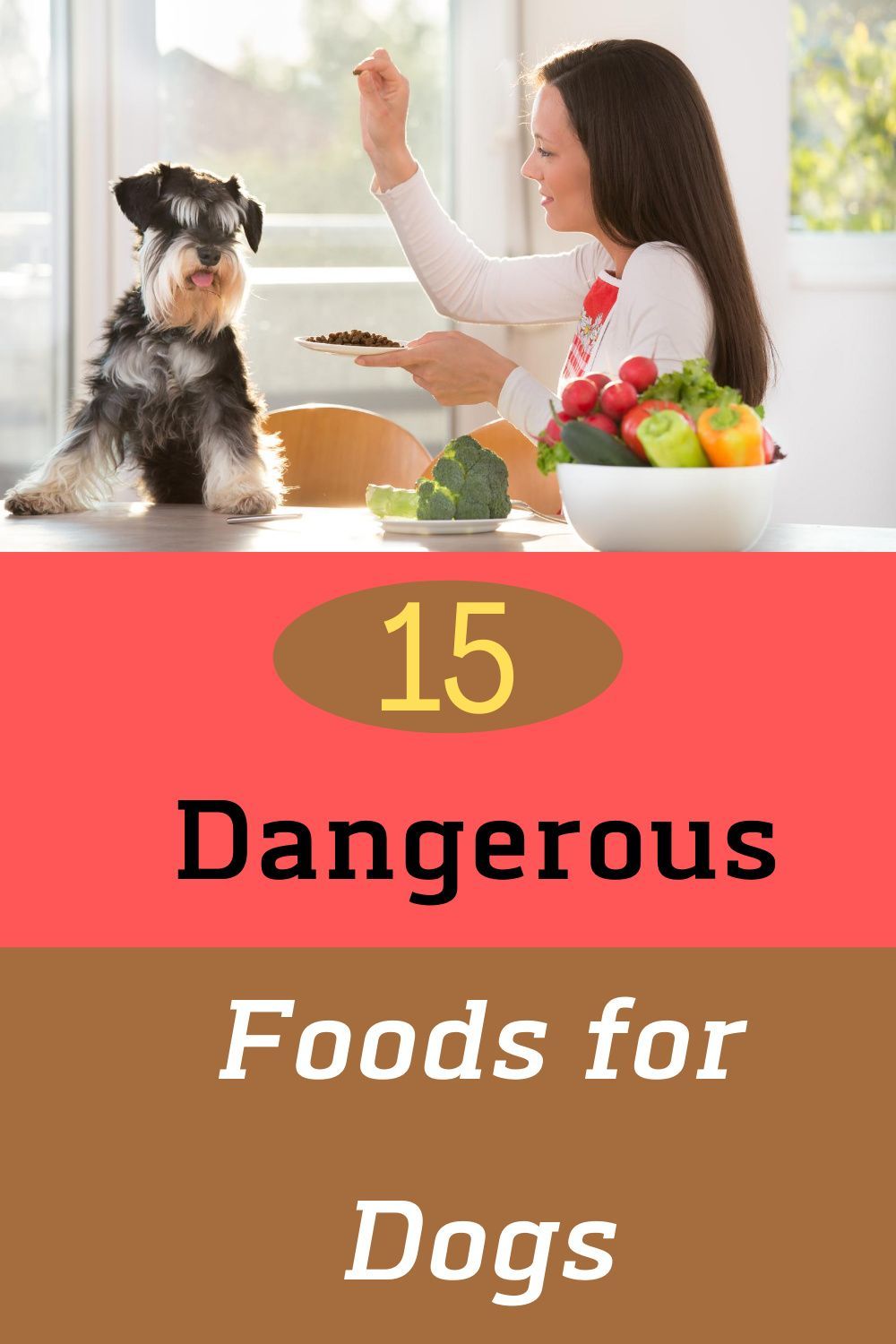 15 Dangerous Foods for Dogs (That Can Be Fatal ...