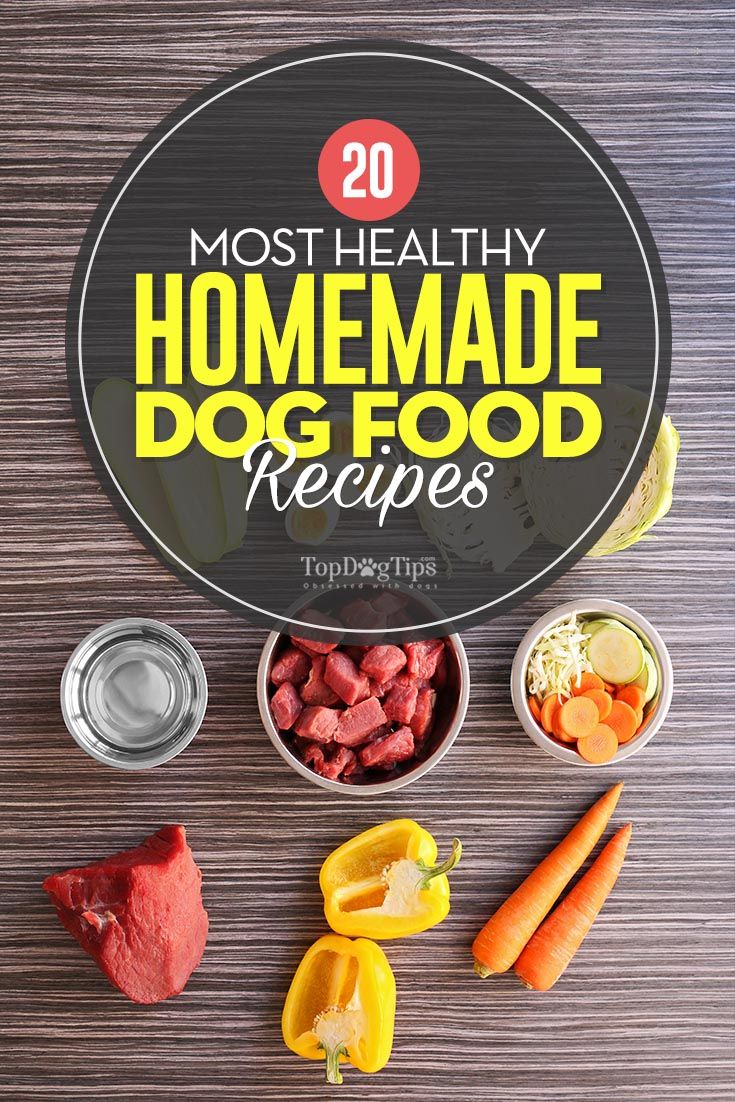 20 Healthy Homemade Dog Food Recipes