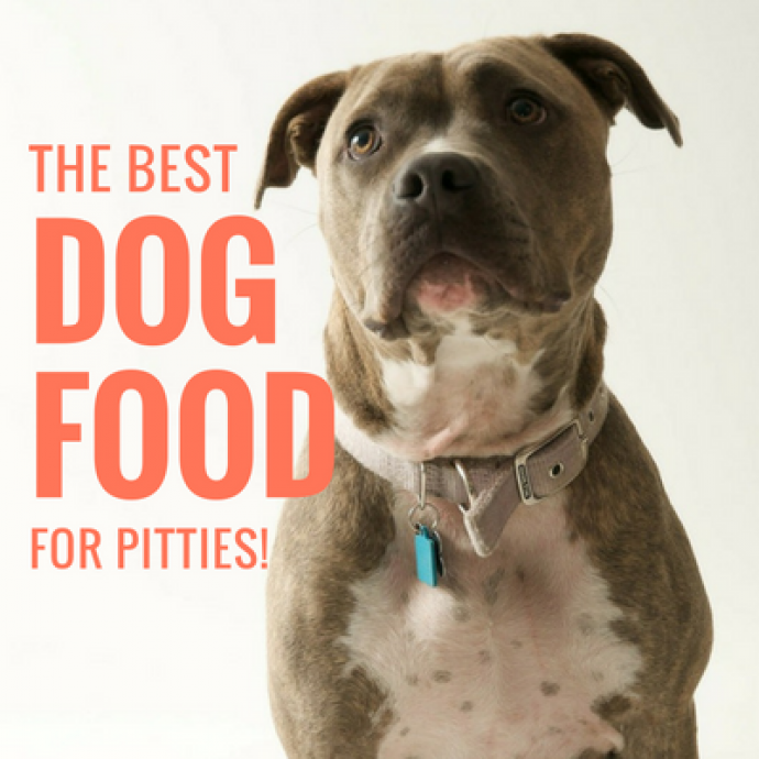 3 Best Dog Foods For Pit Bulls: A Guide to Pittie Nutrition!