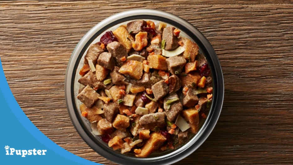 5 Best Freeze Dried Dog Food On The Market You Can Trust 2021
