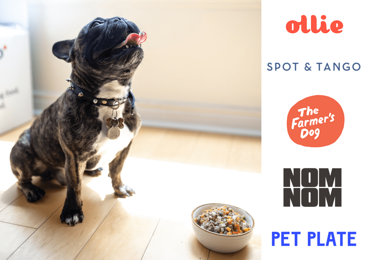 5 Best Fresh Dog Food Delivery Services of 2021 Compared
