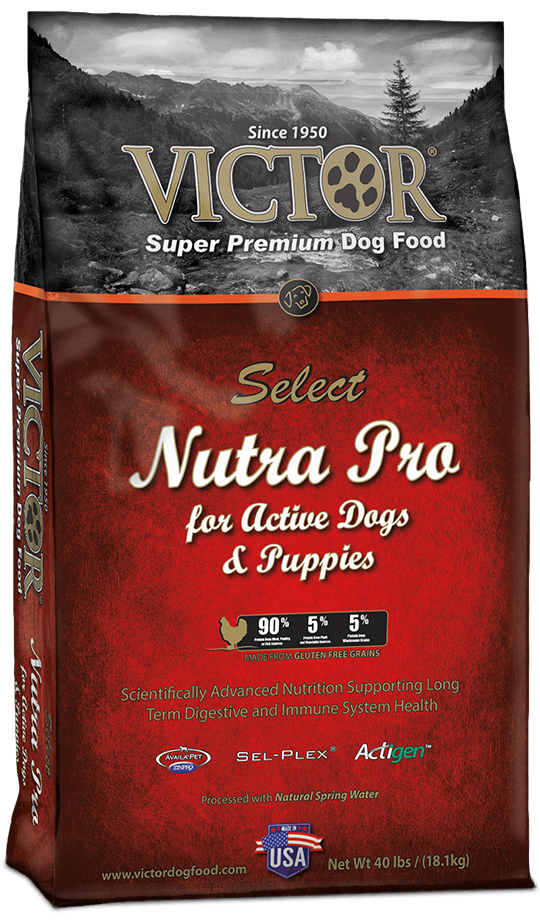 5 Best Giant Breed Puppy Food 2020