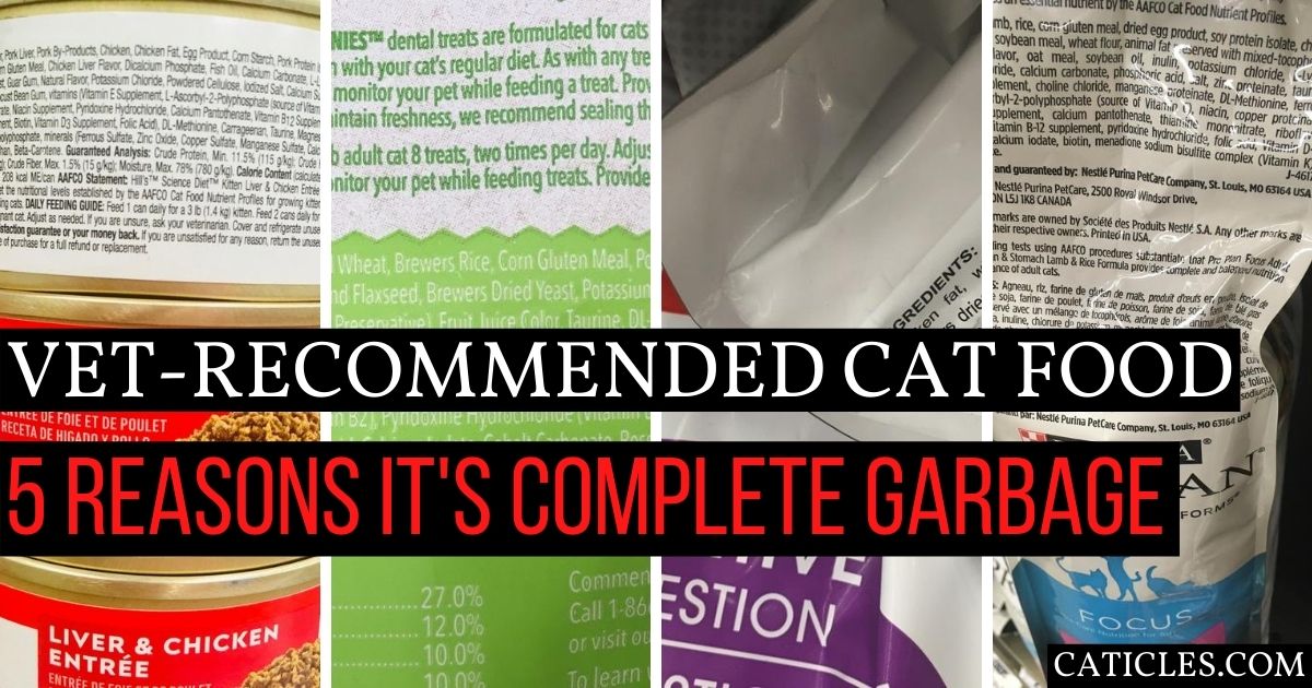 5 Reasons Your Vet Recommended Cat Food is Complete Garbage