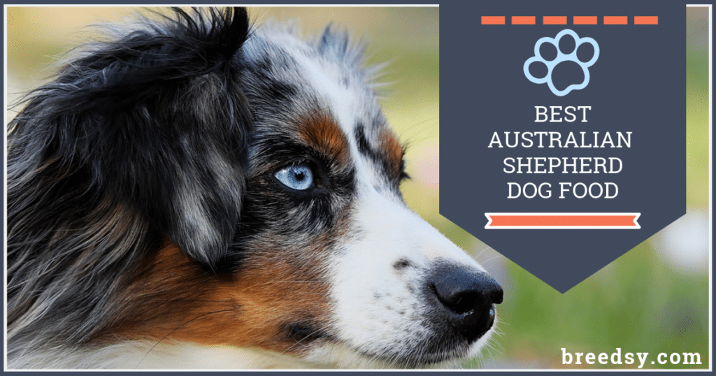 6 Best Australian Shepherd Dog Food Plus Top Brands for Puppies &  Seniors