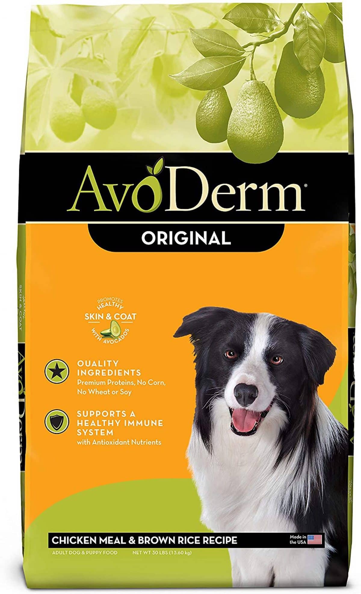 6 Best Dog Foods For Dry Skin: Healthy Skin for Your Pooch!