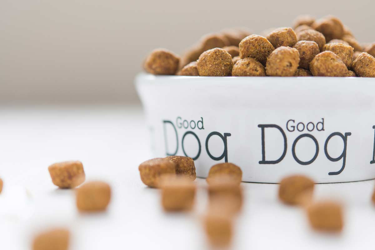 8 Best High Fiber Dog Foods for Blood Sugar