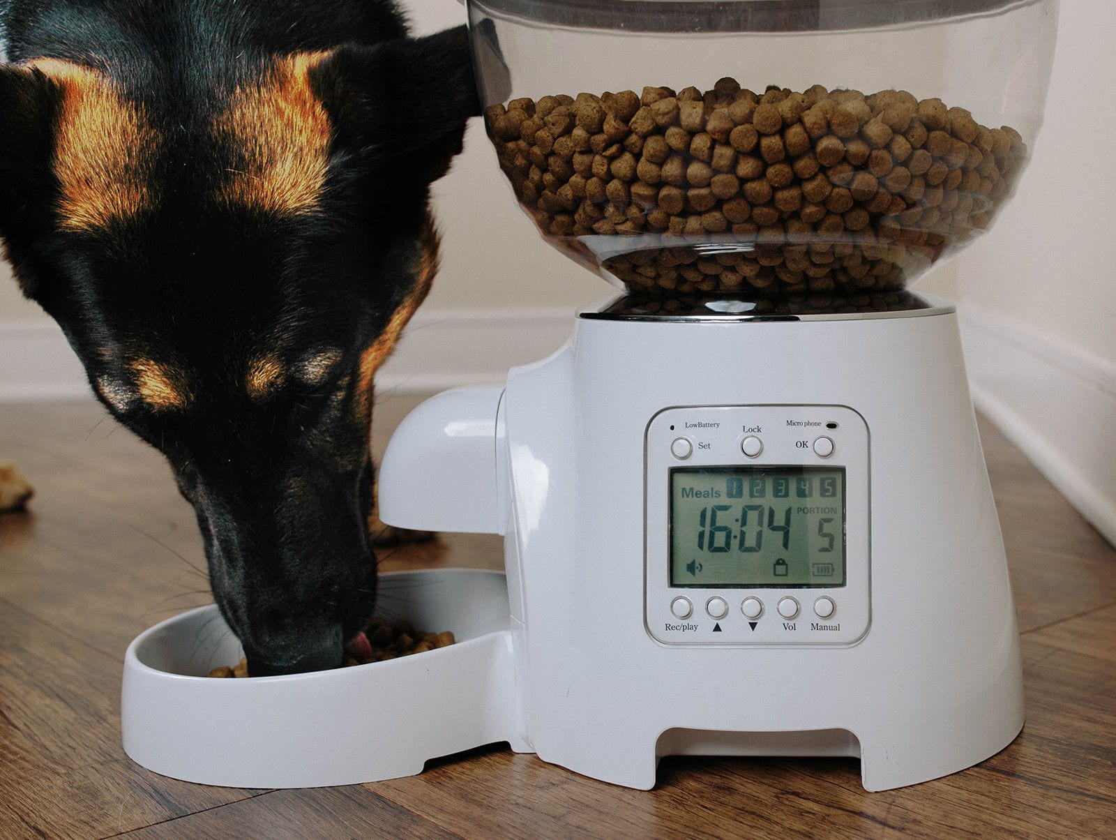 Automatic Pet Feeder Dog Cat Programmable Animal Food Bowl ...