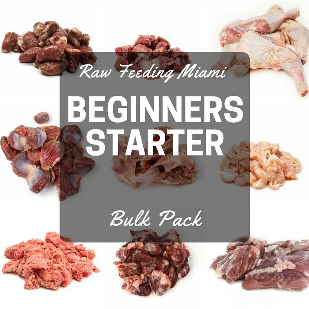 Beginners Starter Pack