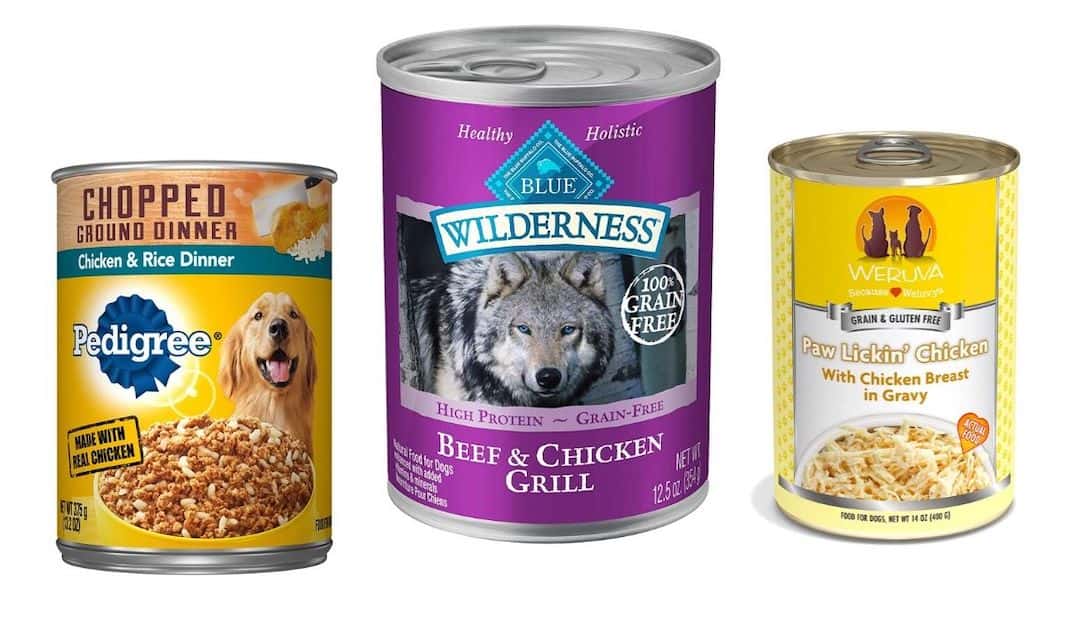 Best Canned Dog Food for Cushings Disease