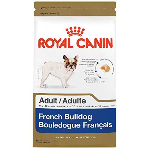 Best Dog Food for French Bulldogs 2020: 7 Vet Recommended Brands