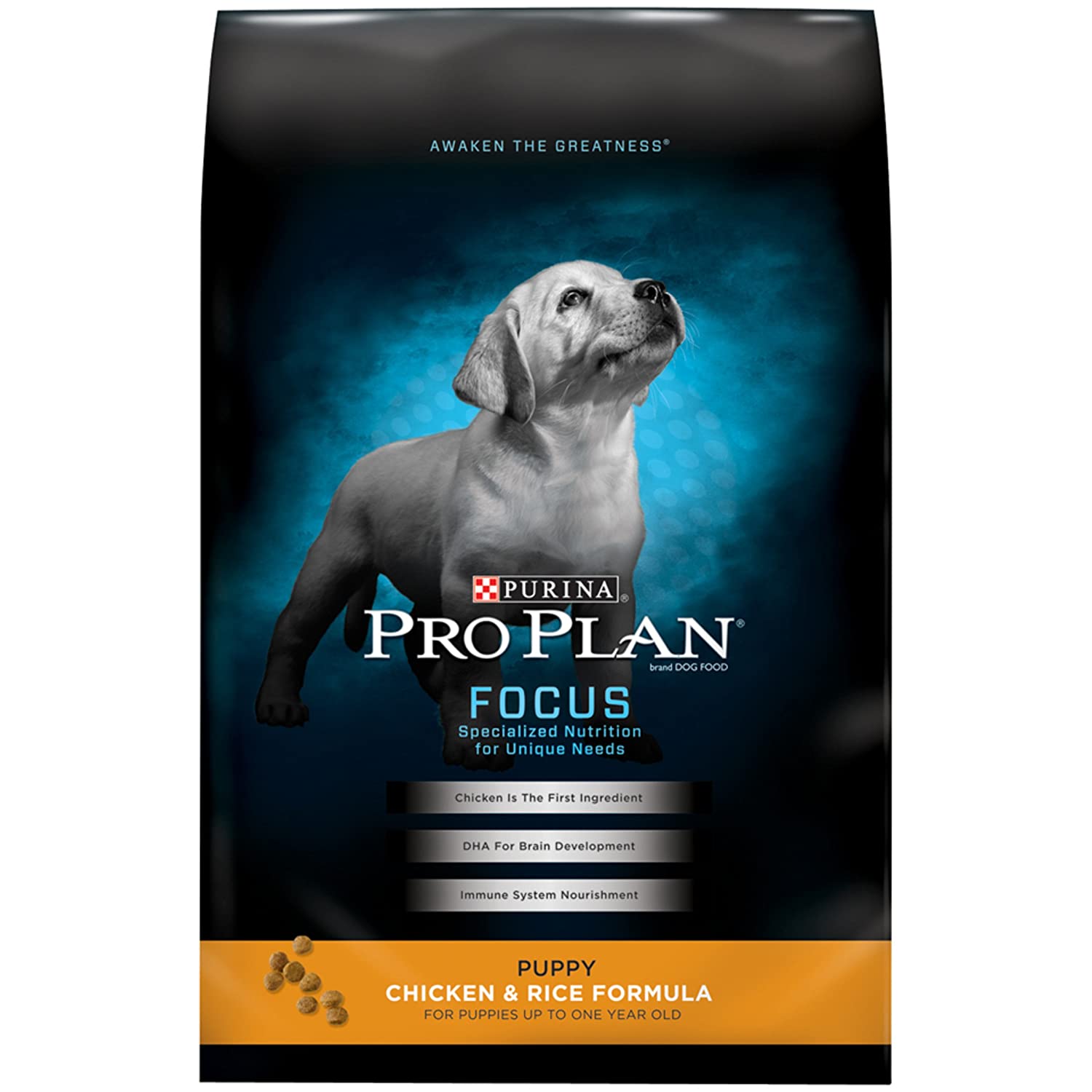Best Dog Food for Pitbull Puppies