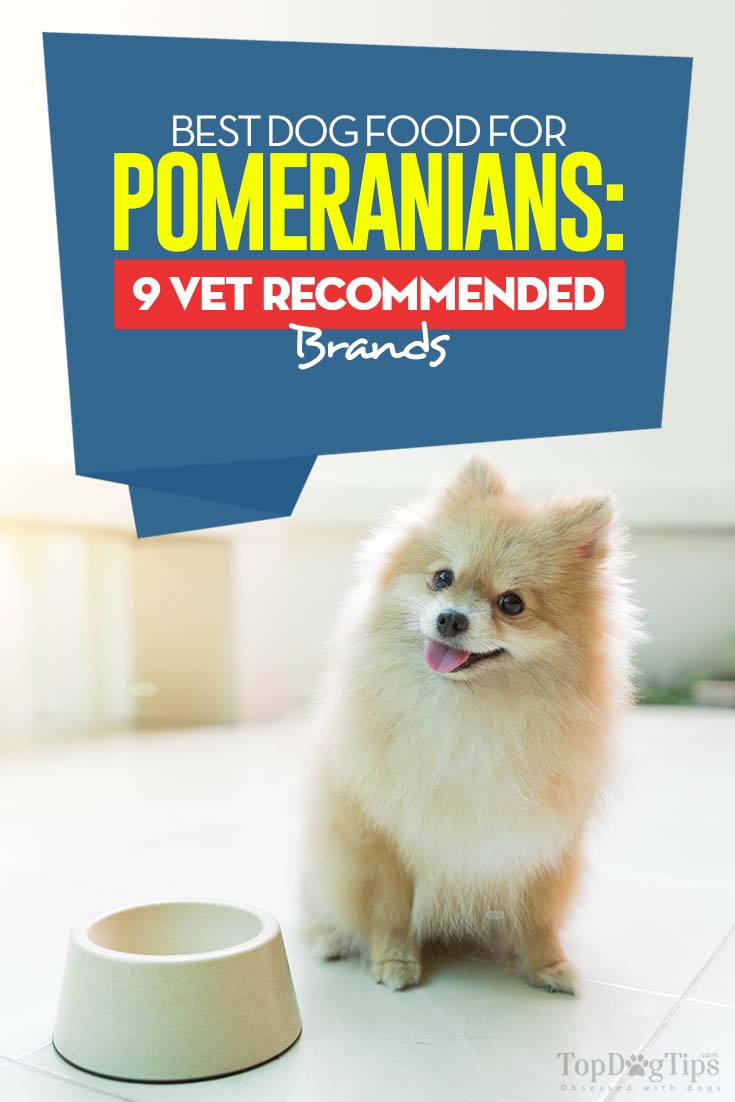 Best Dog Food for Pomeranians: 9 Vet Recommended Brands