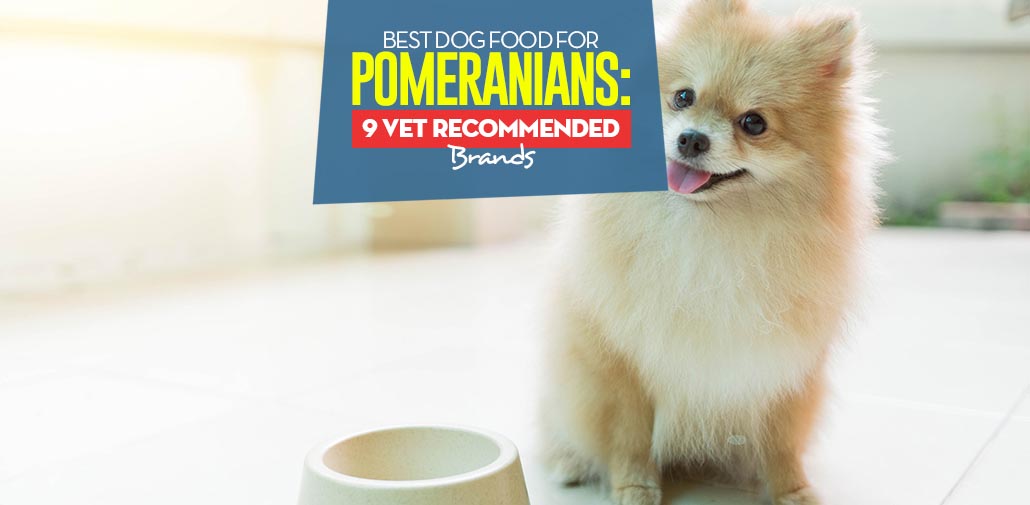 Best Dog Food for Pomeranians in 2020: Top 9 Vet ...