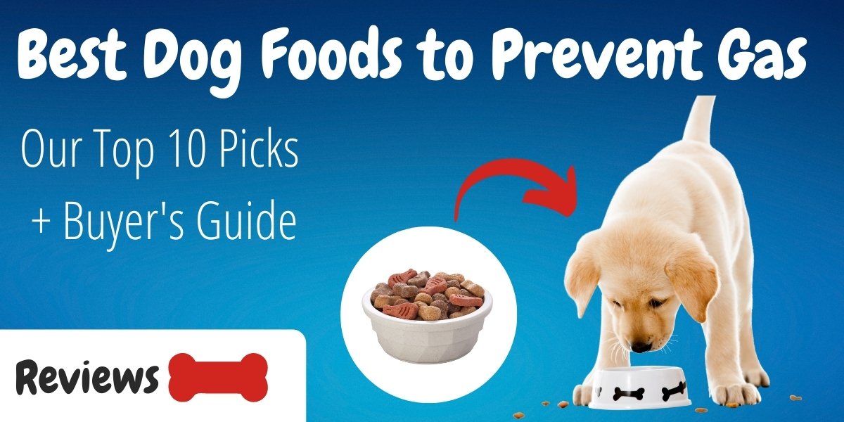Best Dog Foods to Prevent Gas: Reviews and Buying Guide