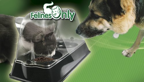 Best Dog Safe (Proof) Cat Food Feeders, Feeding Stations ...