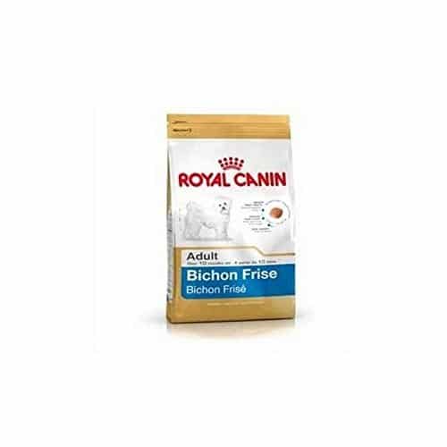 Best dry dog food for bichon frise