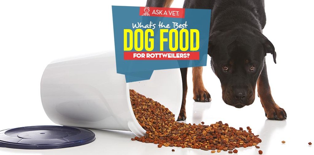 Best Food For Rottweiler Puppy