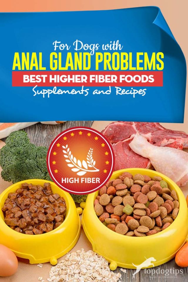 Best High Fiber Dog Food Anal Gland Problems, Supplements ...