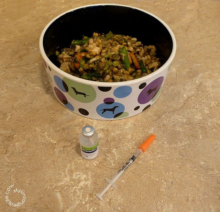 Best Homemade Dog Food For A Diabetic Dog