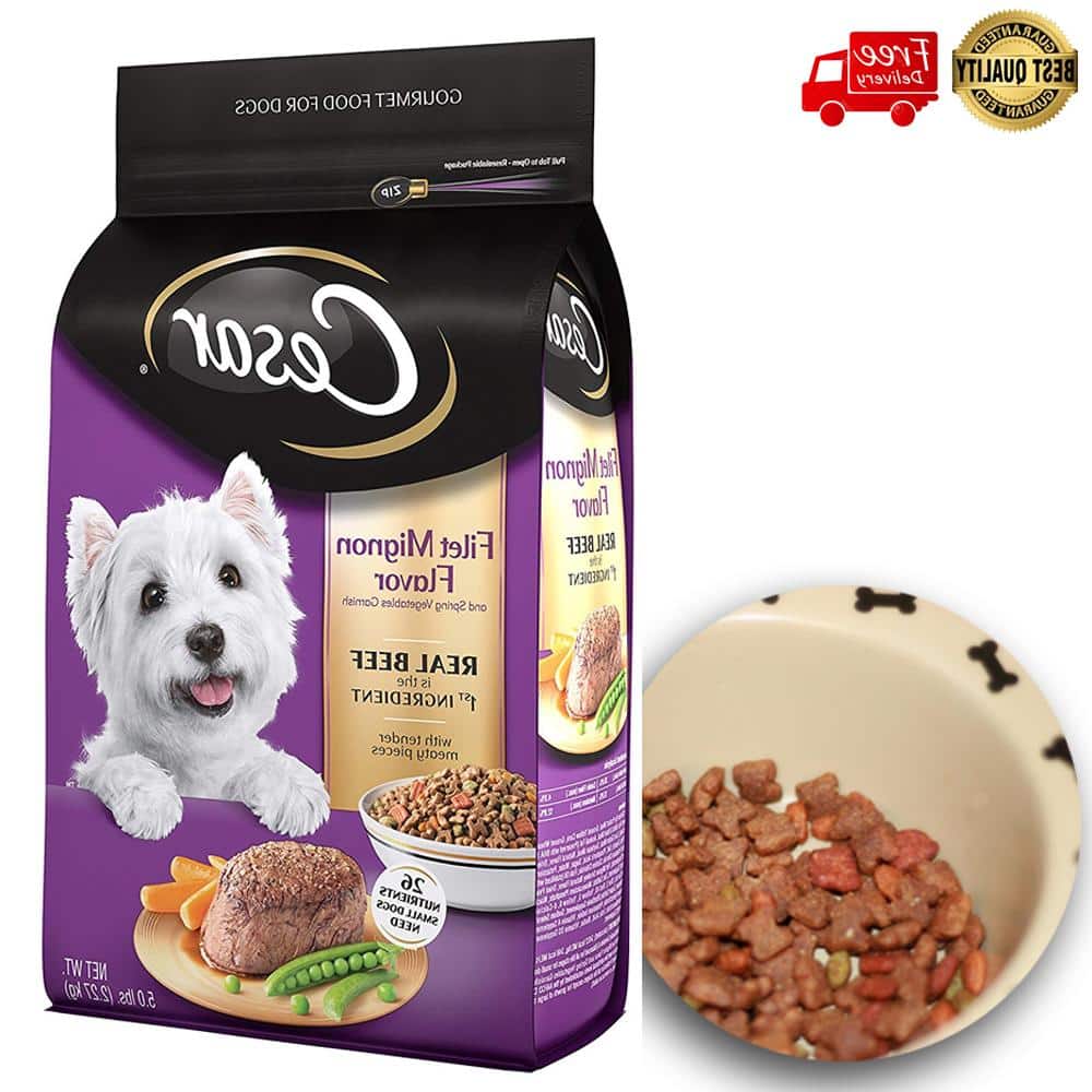 Best Puppy Small Breed Food