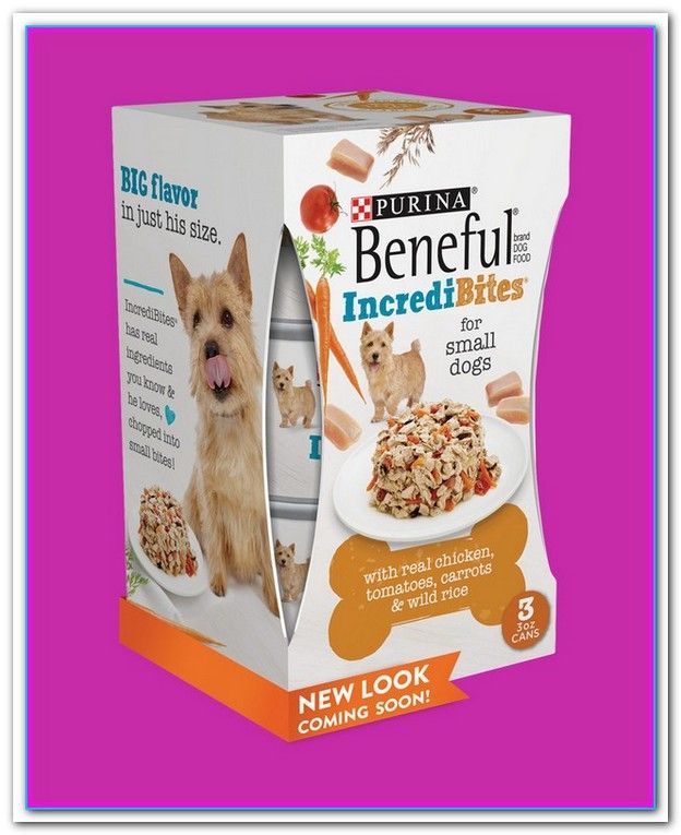 Best Soft Dog Food For Small Dogs