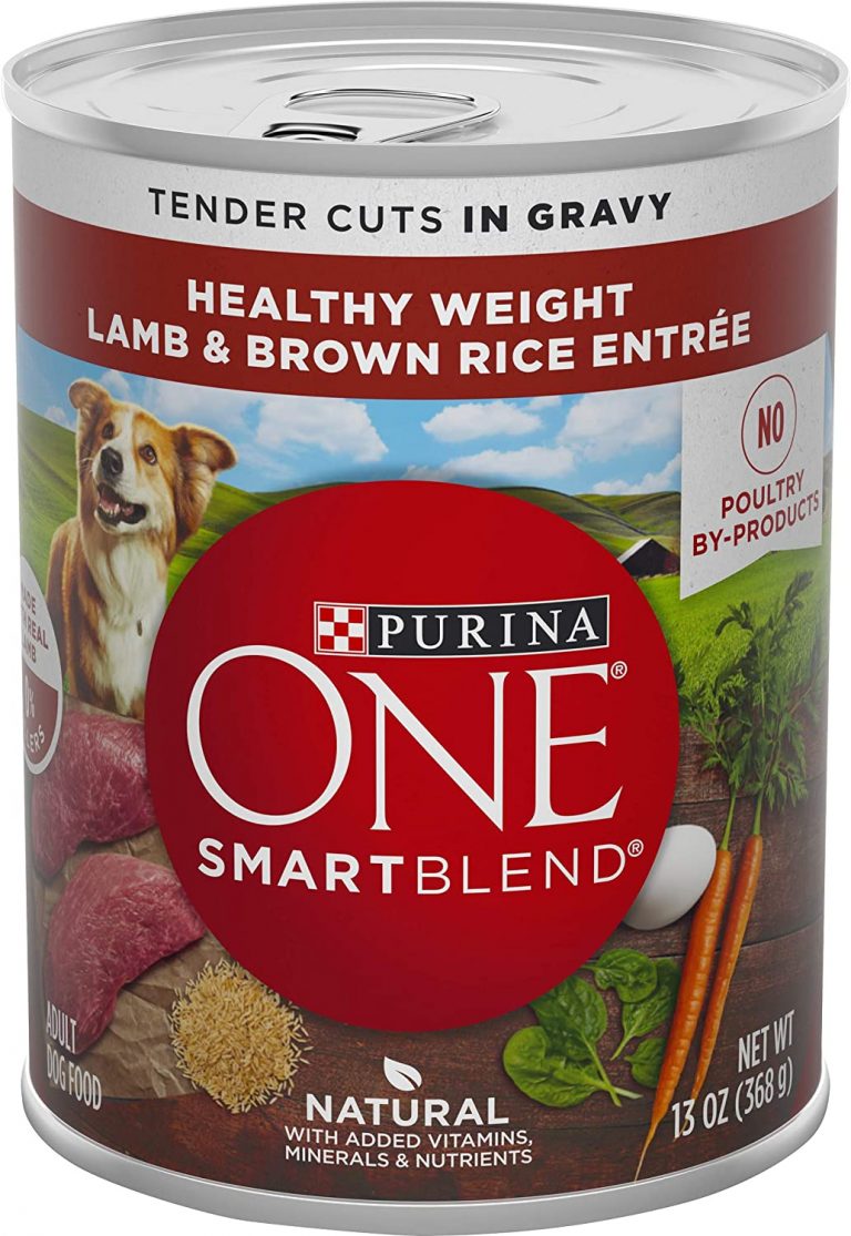 Best Wet Dog Food for Small Senior Dogs