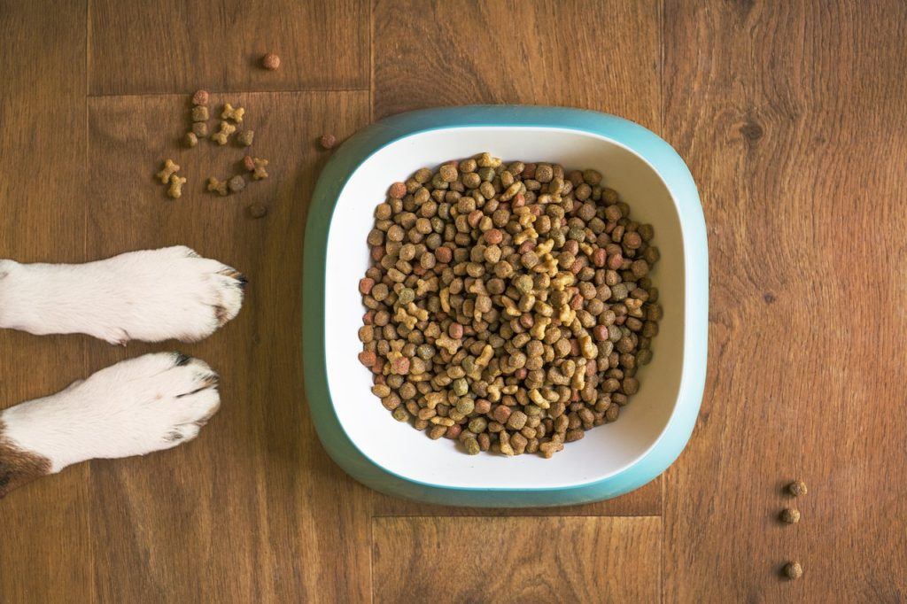 BHA and BHT: Dog Food Ingredients to Avoid