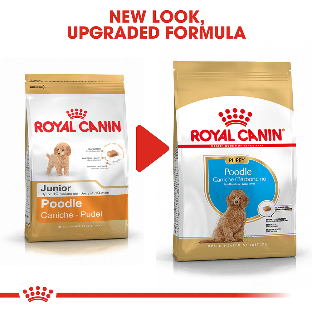 Buy Royal Canin Poodle Puppy Dry Dog Food Online