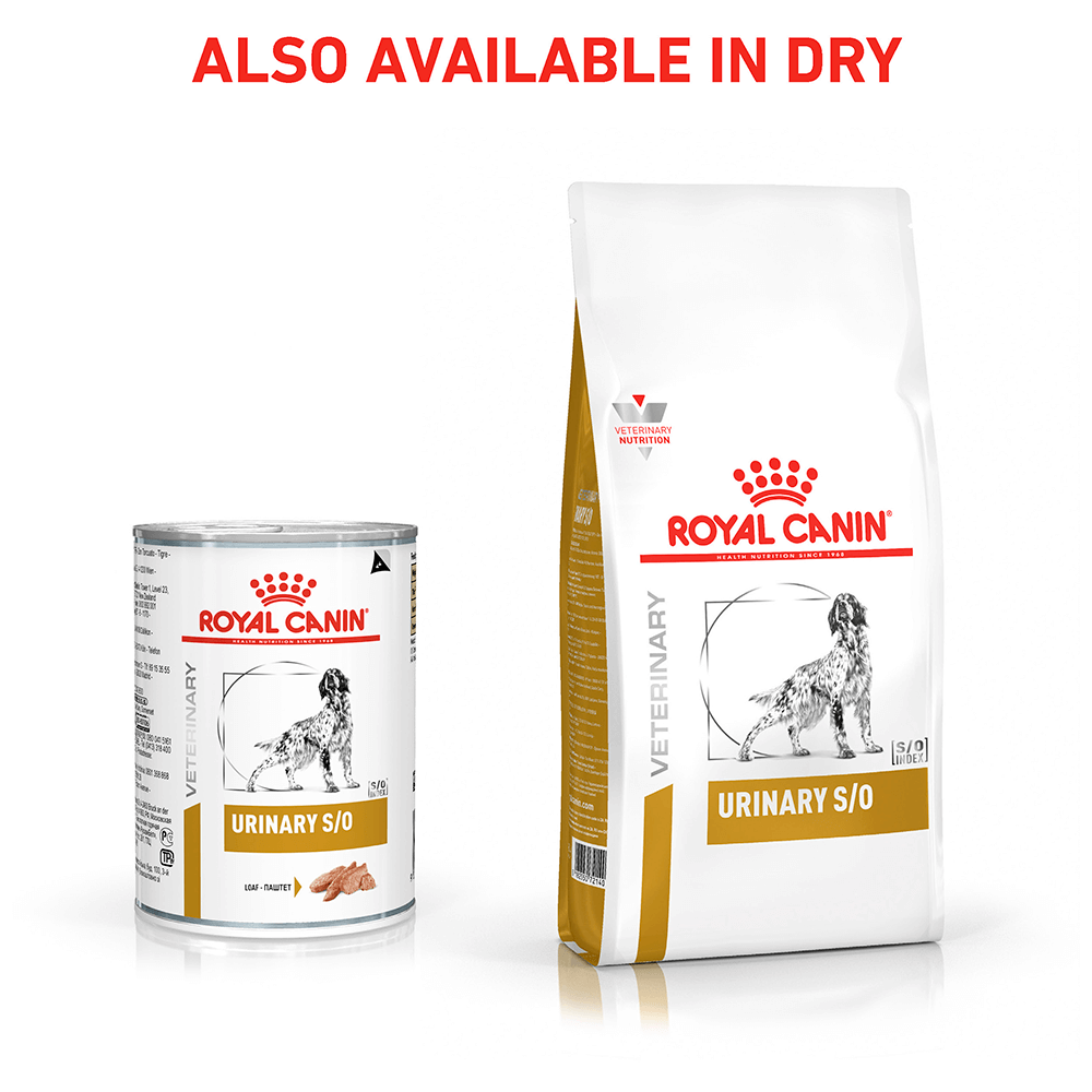 Buy Royal Canin Veterinary Urinary So Wet Dog Food Cans ...