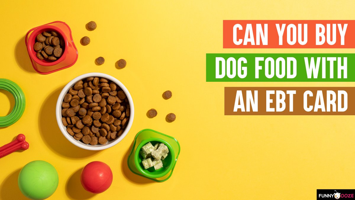 Can You Buy Dog Food with an Ebt Card