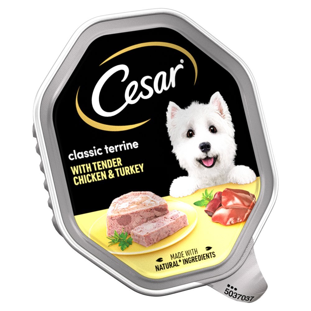 Cesar Classic Terrine Wet Dog Food with Chicken and Turkey ...