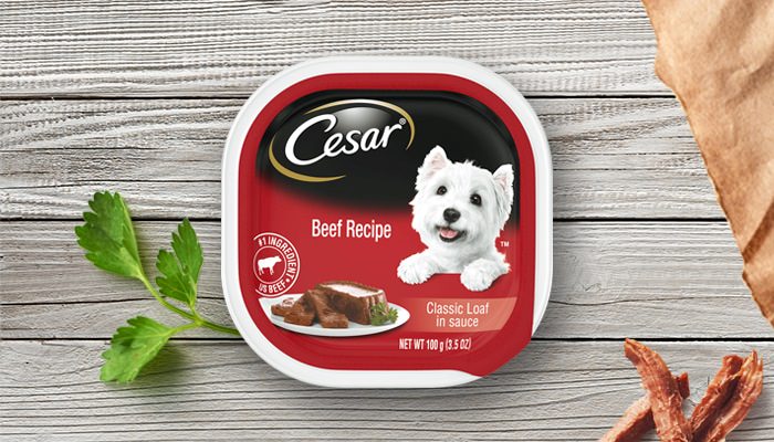 Cesar Wet Dog Food Review in 2020