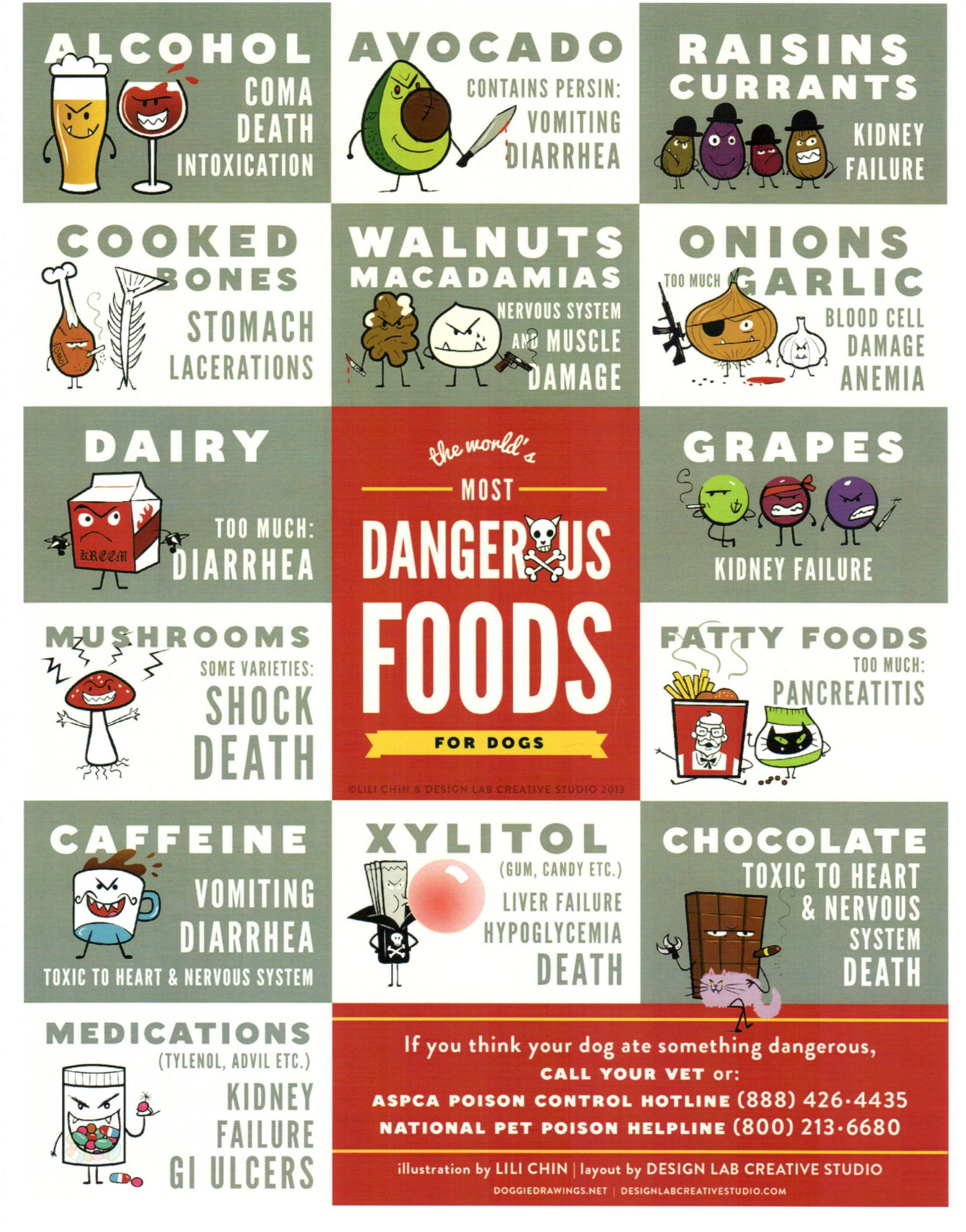 Common Foods That Are Poisonous To Dogs
