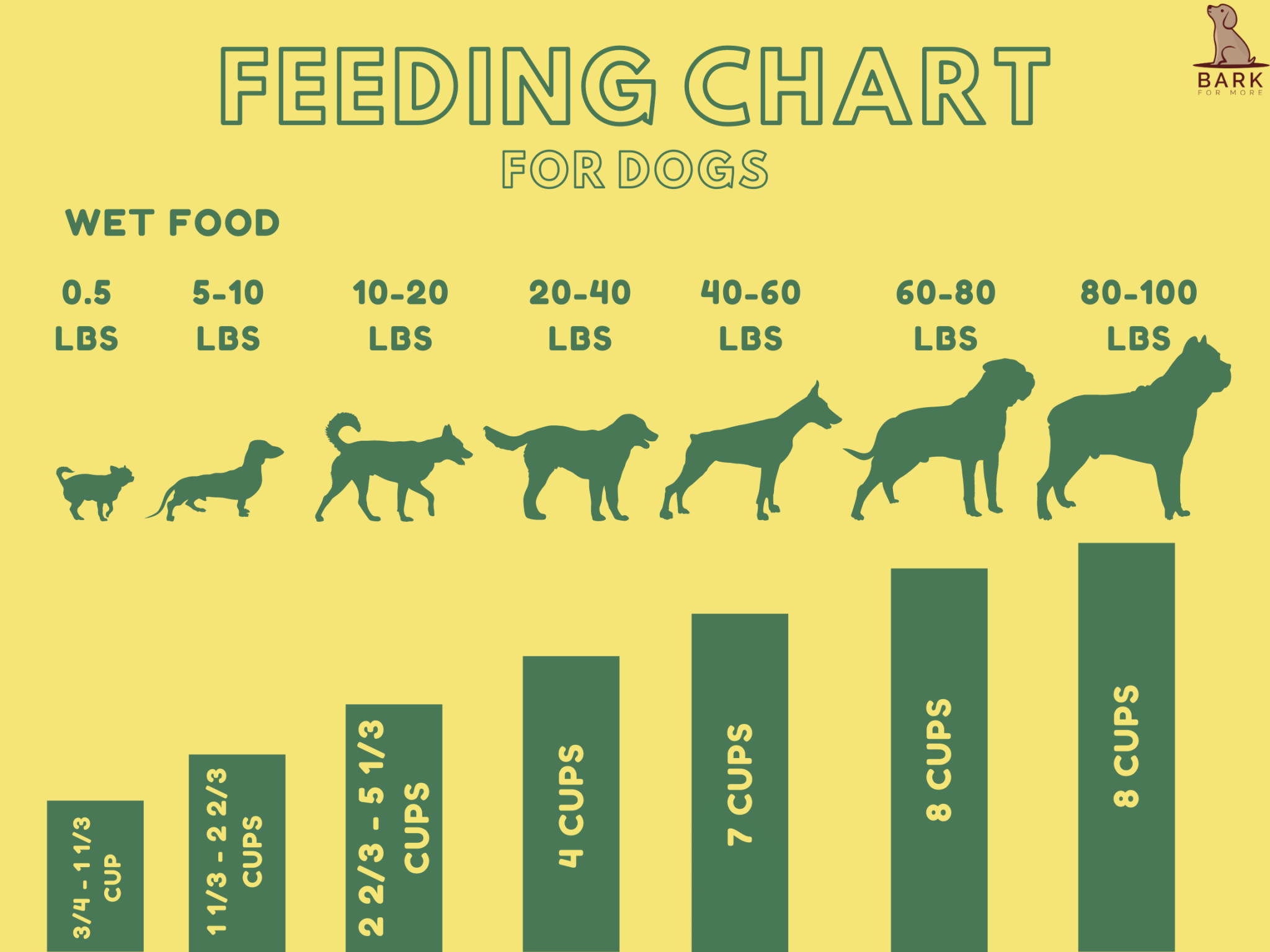 Complete Guide To Understanding How Much I Should Feed My Dog