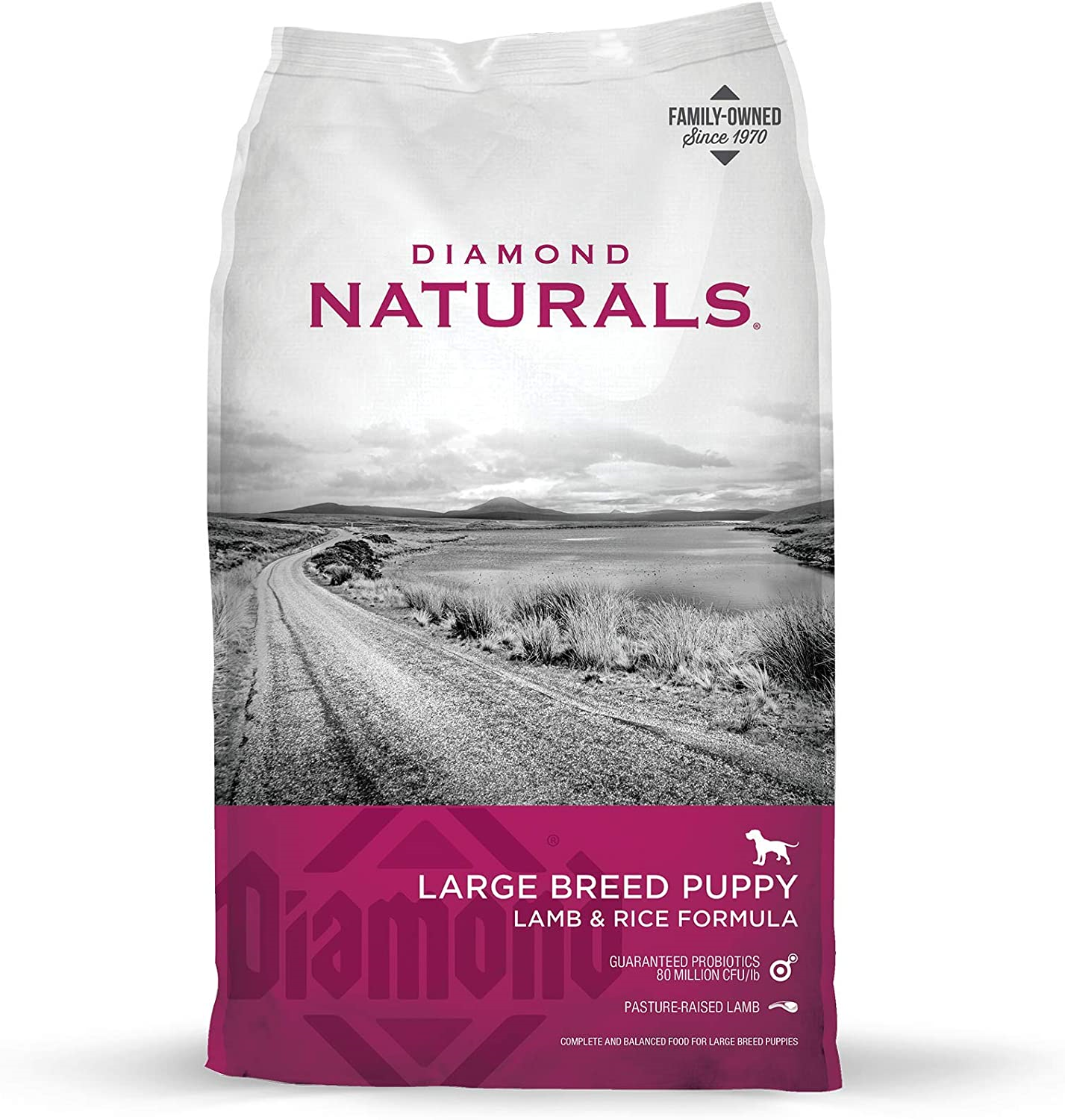 Diamond Naturals Large Breed Puppy Real Lamb Recipe Premium Dry Dog ...
