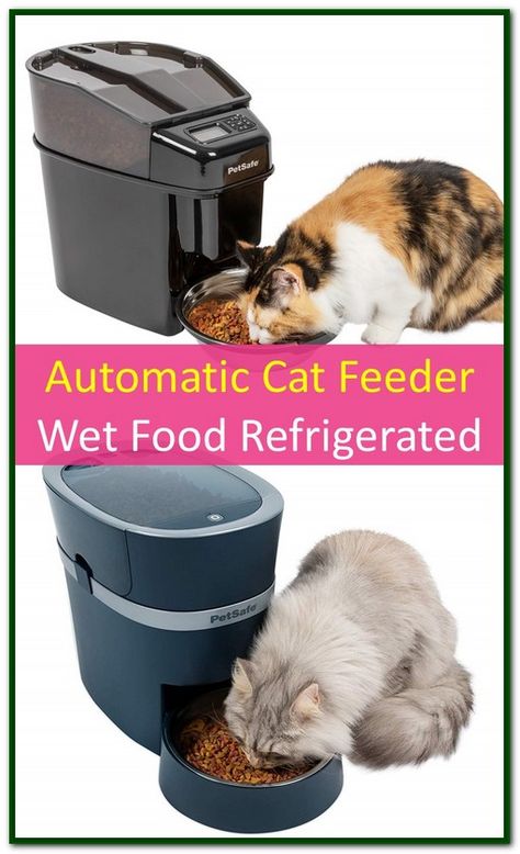 Does Can Cat Food Need To Be Refrigerated