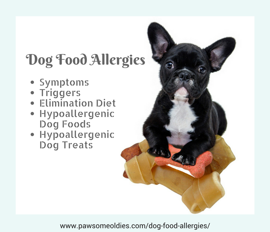 Dog Food Allergies and Hypoallergenic Dog Food ...