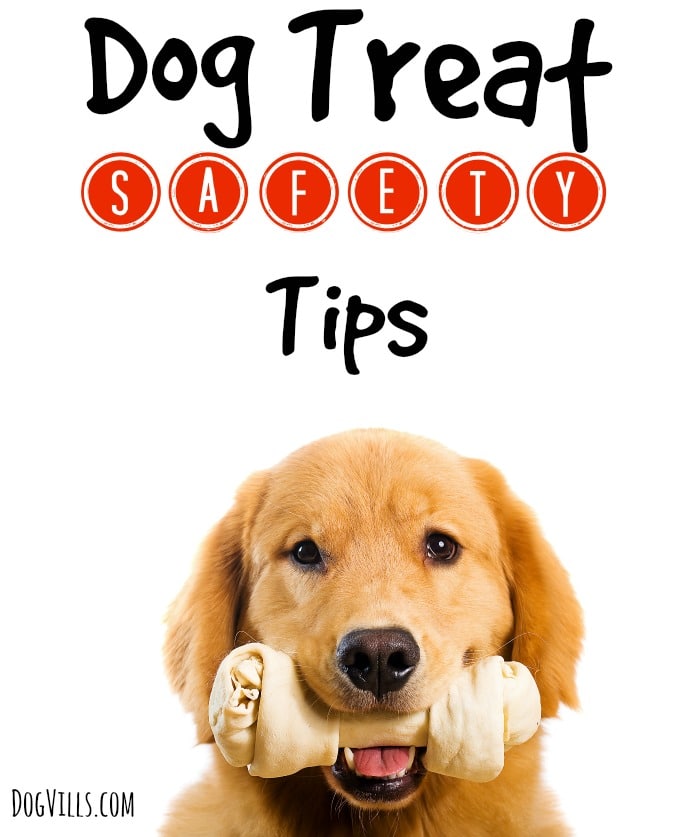 Dog Treat Safety Tips