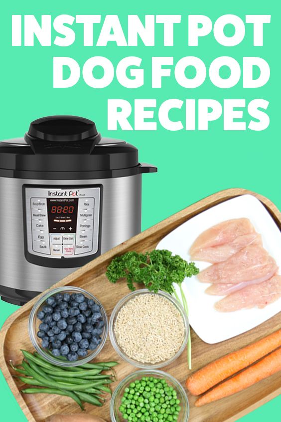 Easy DIY Dog Food You Can Make in Your Instant Pot