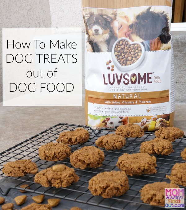 Easy Ways To Spend More Time With Your Dog + Homemade Dog ...