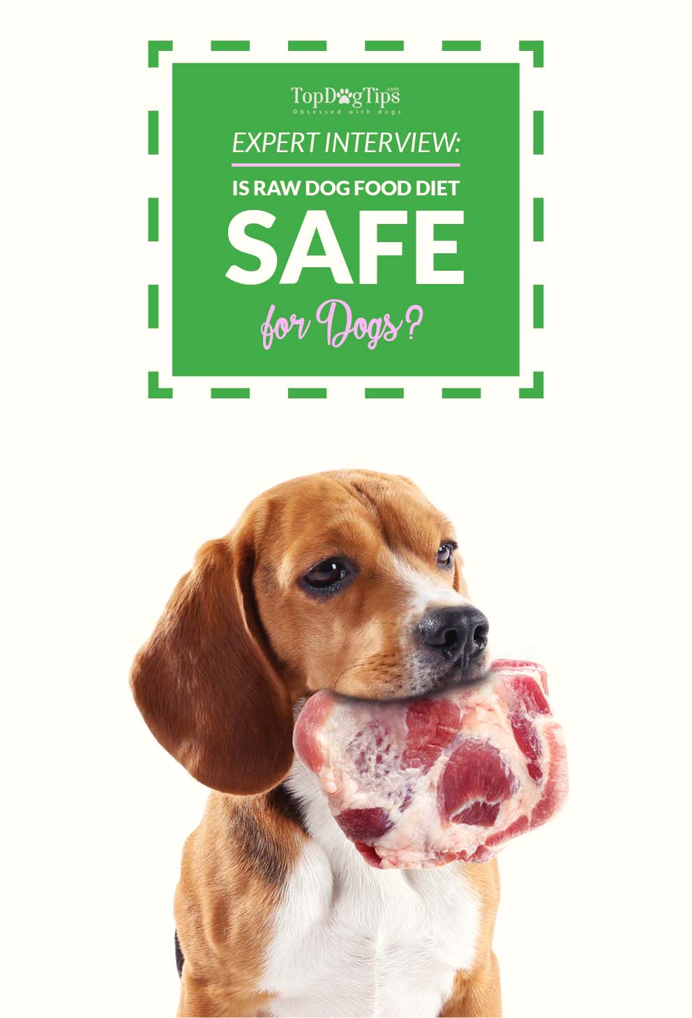 Expert Interview: Is Raw Dog Food Diet Safe for Dogs?