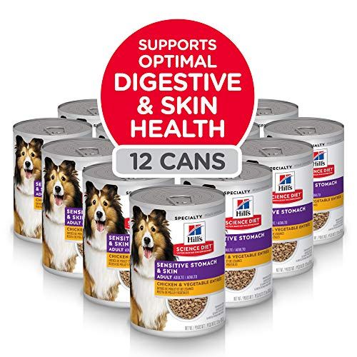 Food For Dog With Upset Stomach Uk