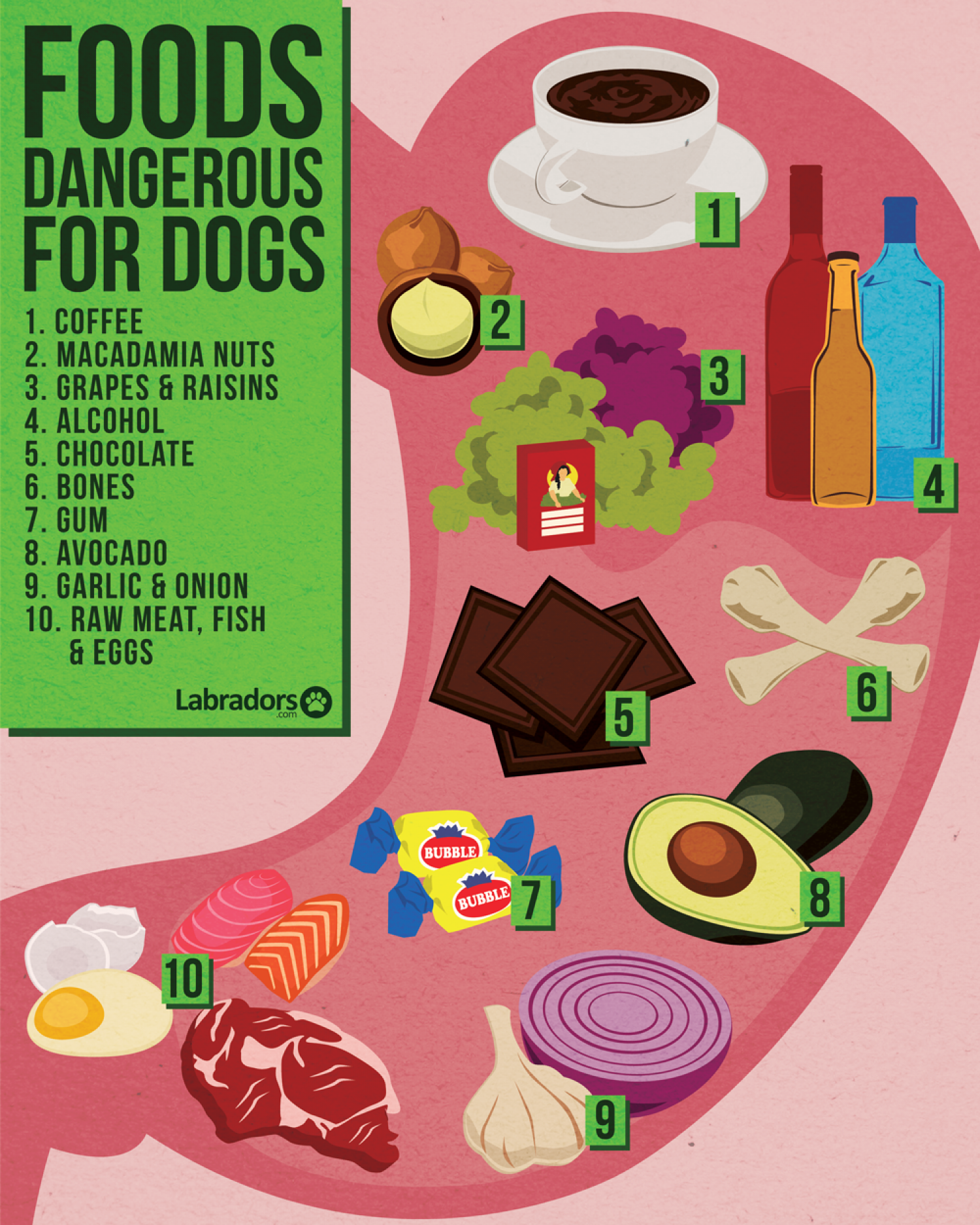 Foods Dangerous For Dogs