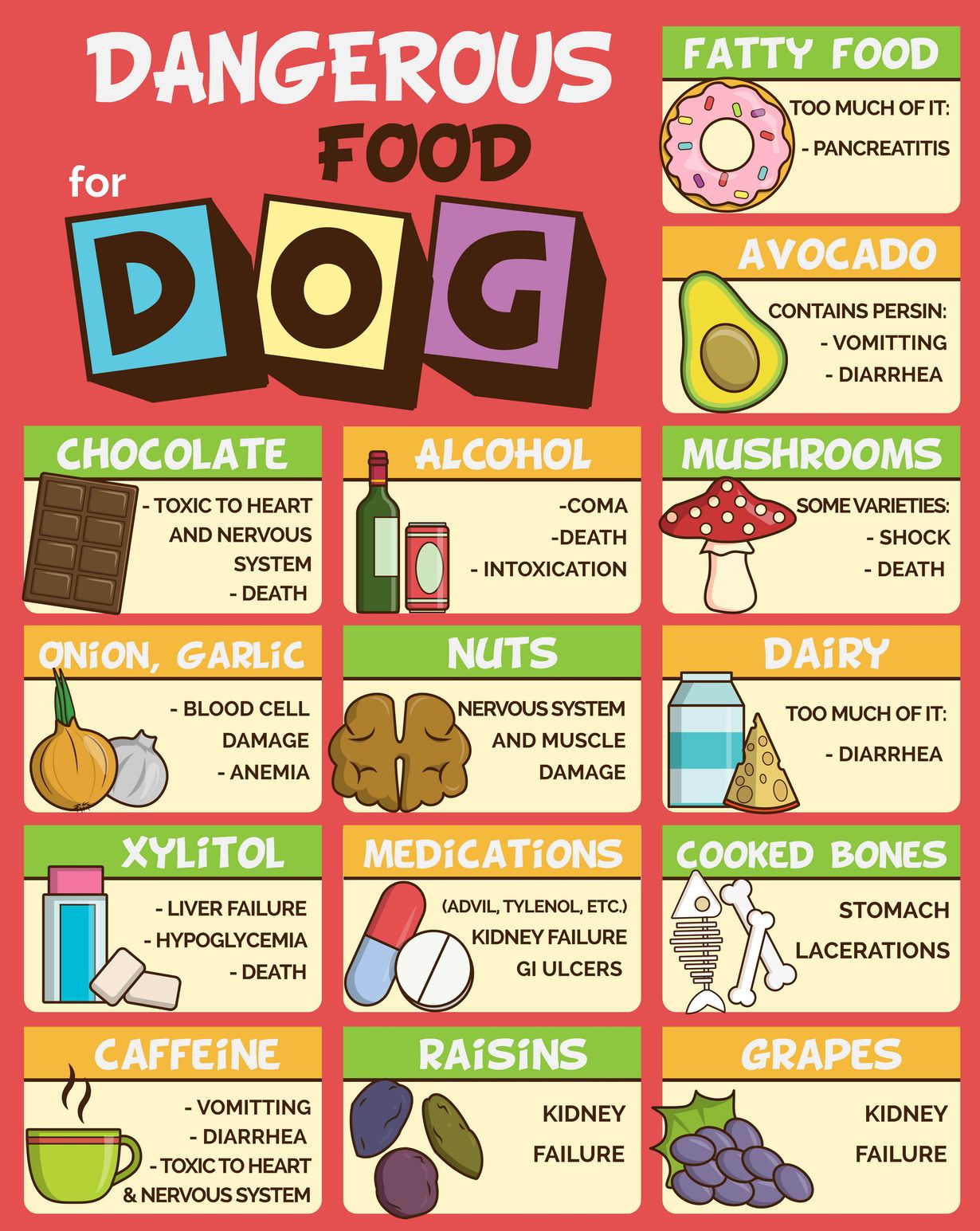 Foods that are Dangerous and Harmful to Dogs