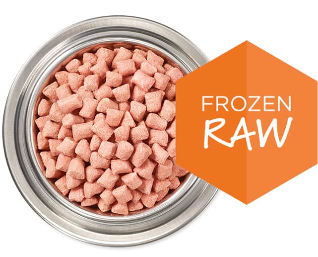Frozen Raw Dog Food 101: Best Nutrition?