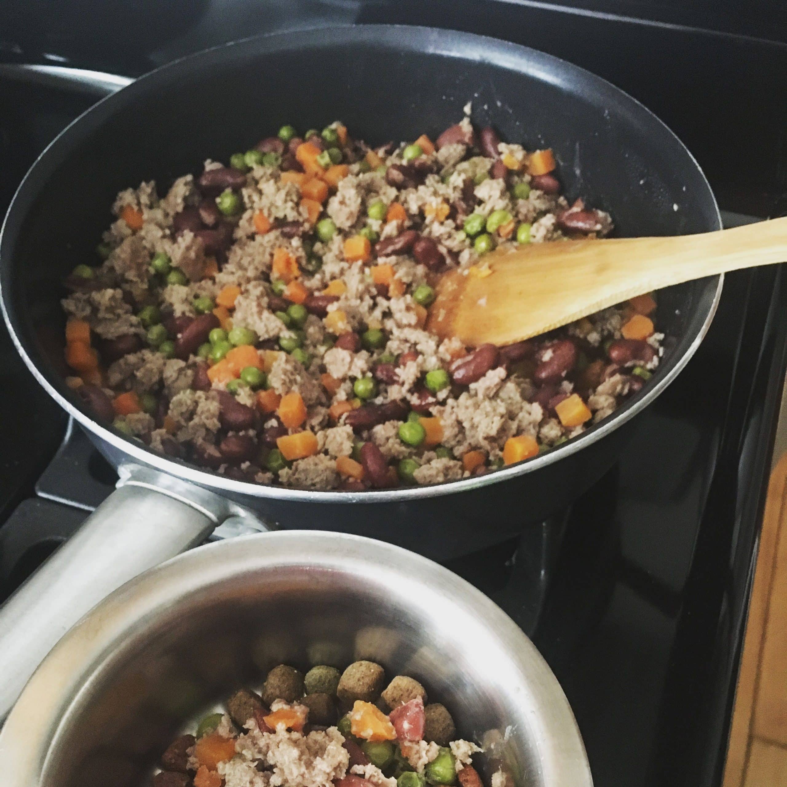 Ground turkey, peas, carrots, and kidney beans Homemade dog food