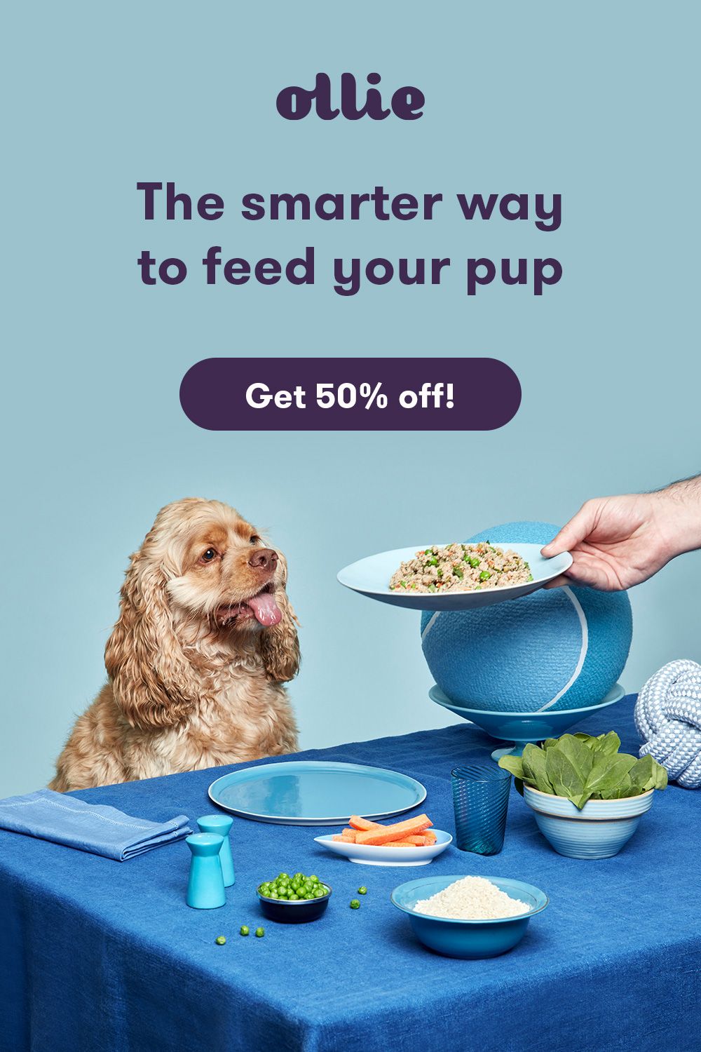 Healthier Food for a Healthier Dog
