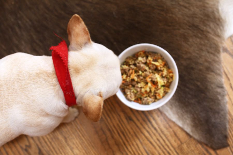 Healthy Homemade Food For Your French Bulldog